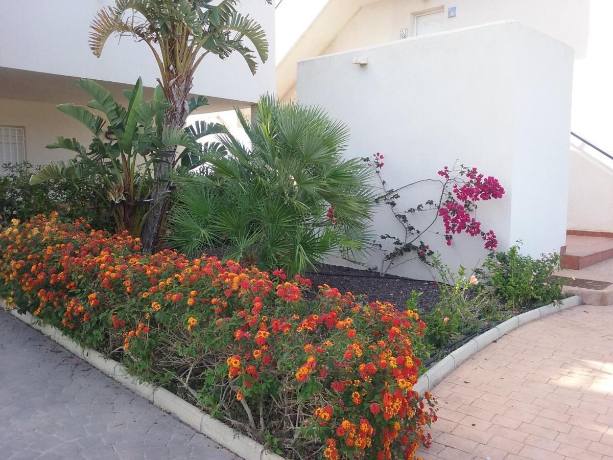 Apartamento Junto Al Mar En La Costa De Almeria El Pozo del Esparto Exterior photo